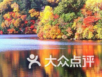 新糖果怪物