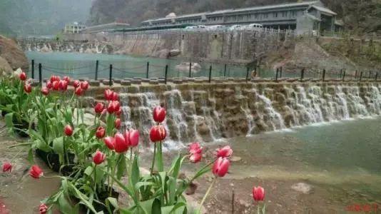 春运首日成都公交集市开幕