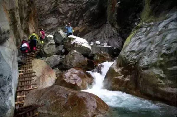 平塘平里河村汉雷香丰收