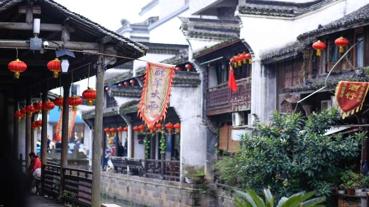 皓齿朱唇打一动物游戏画面