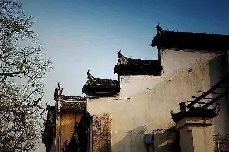 辟谣 |《2023年度下半年社会民生领域网络辟谣榜》发布